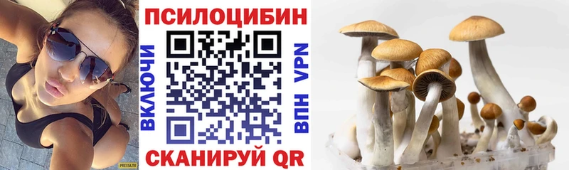 Псилоцибиновые грибы Cubensis  наркотики  Новосиль 